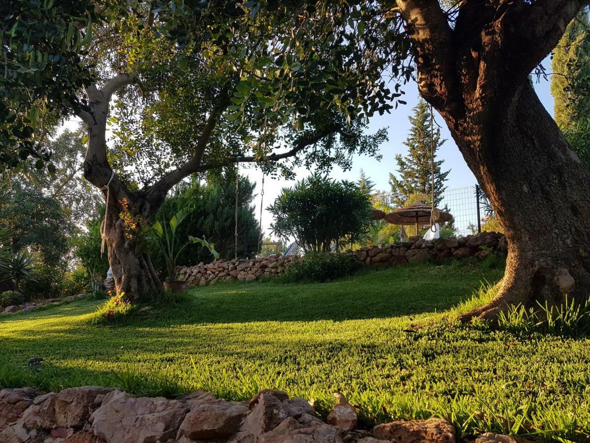 Quinta Teresinha Guest House Silves Exterior foto